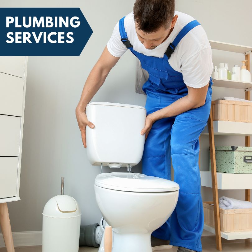 Plumbing Company in Center Line, MI